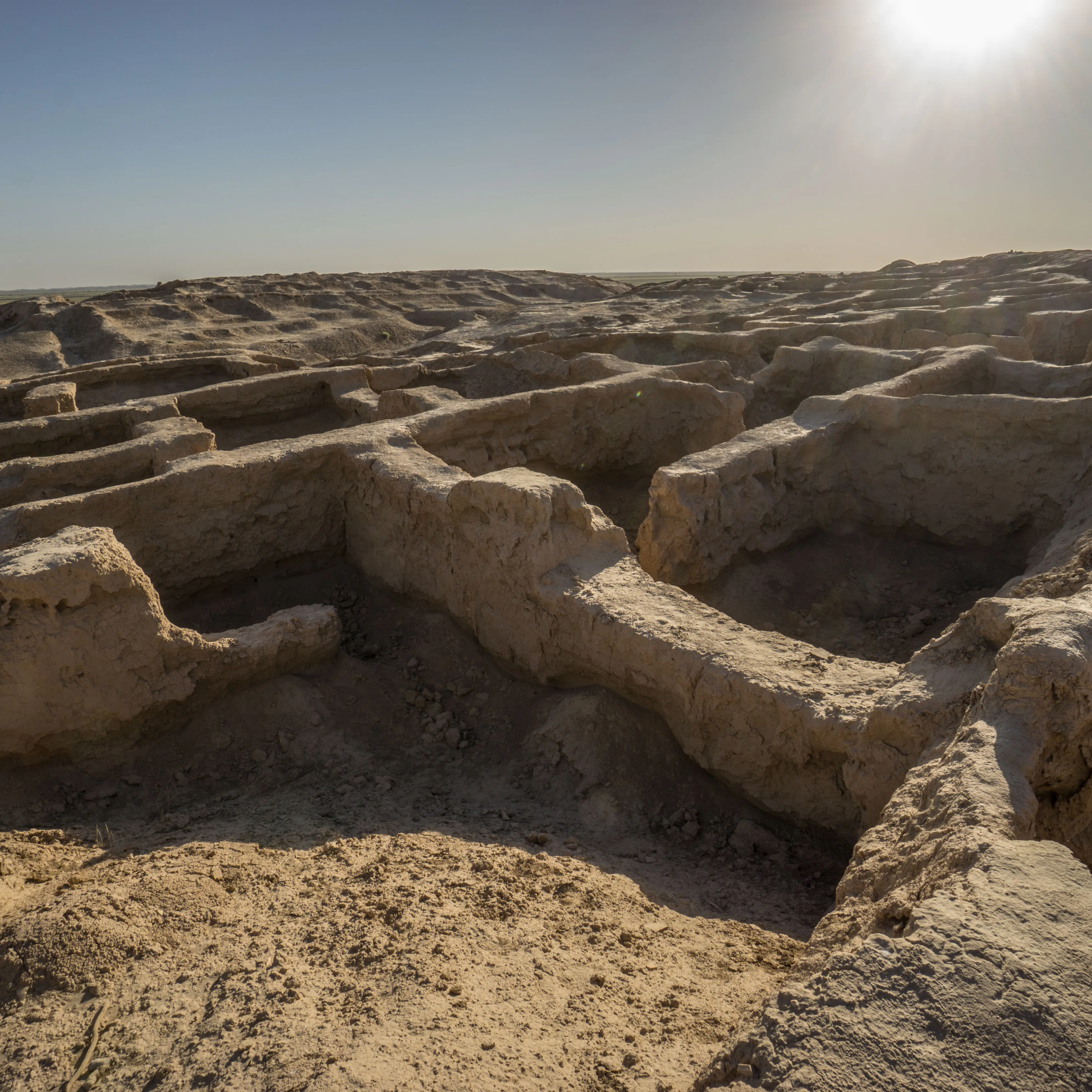 Embark on an Unforgettable Archaeological Journey