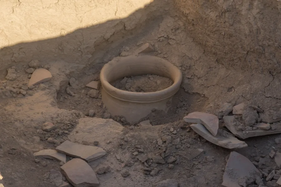 Embark on an Unforgettable Archaeological Journey