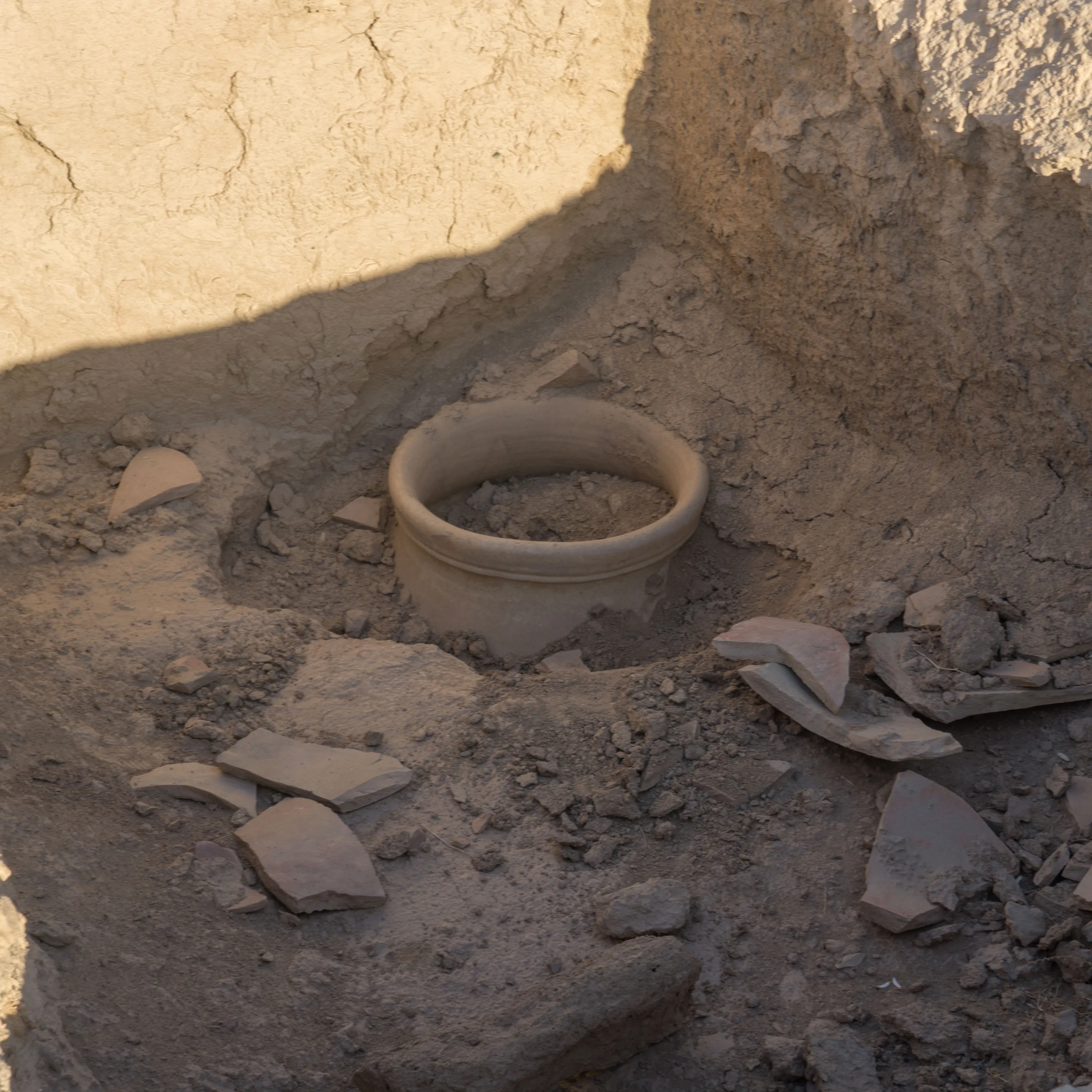 Embark on an Unforgettable Archaeological Journey