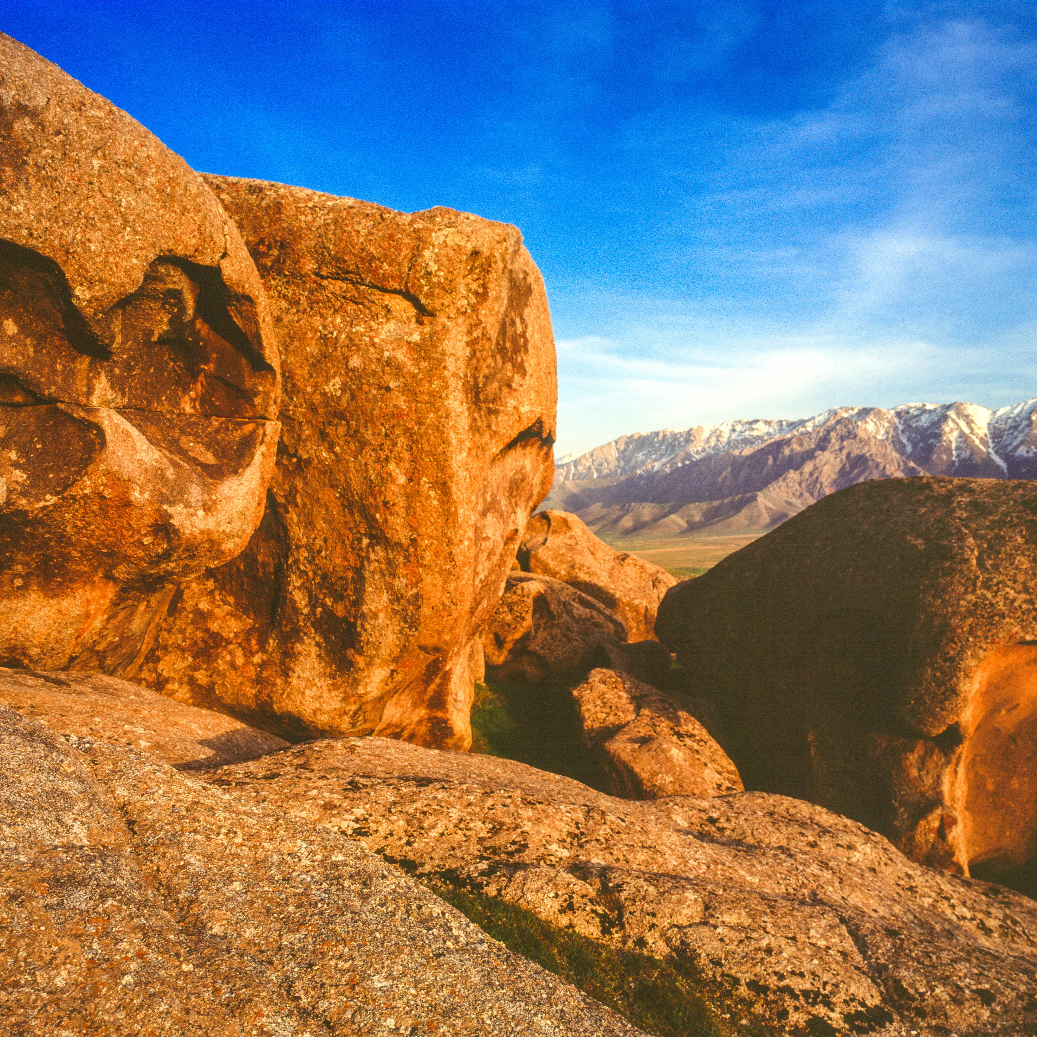 Embark on an Unforgettable Archaeological Journey