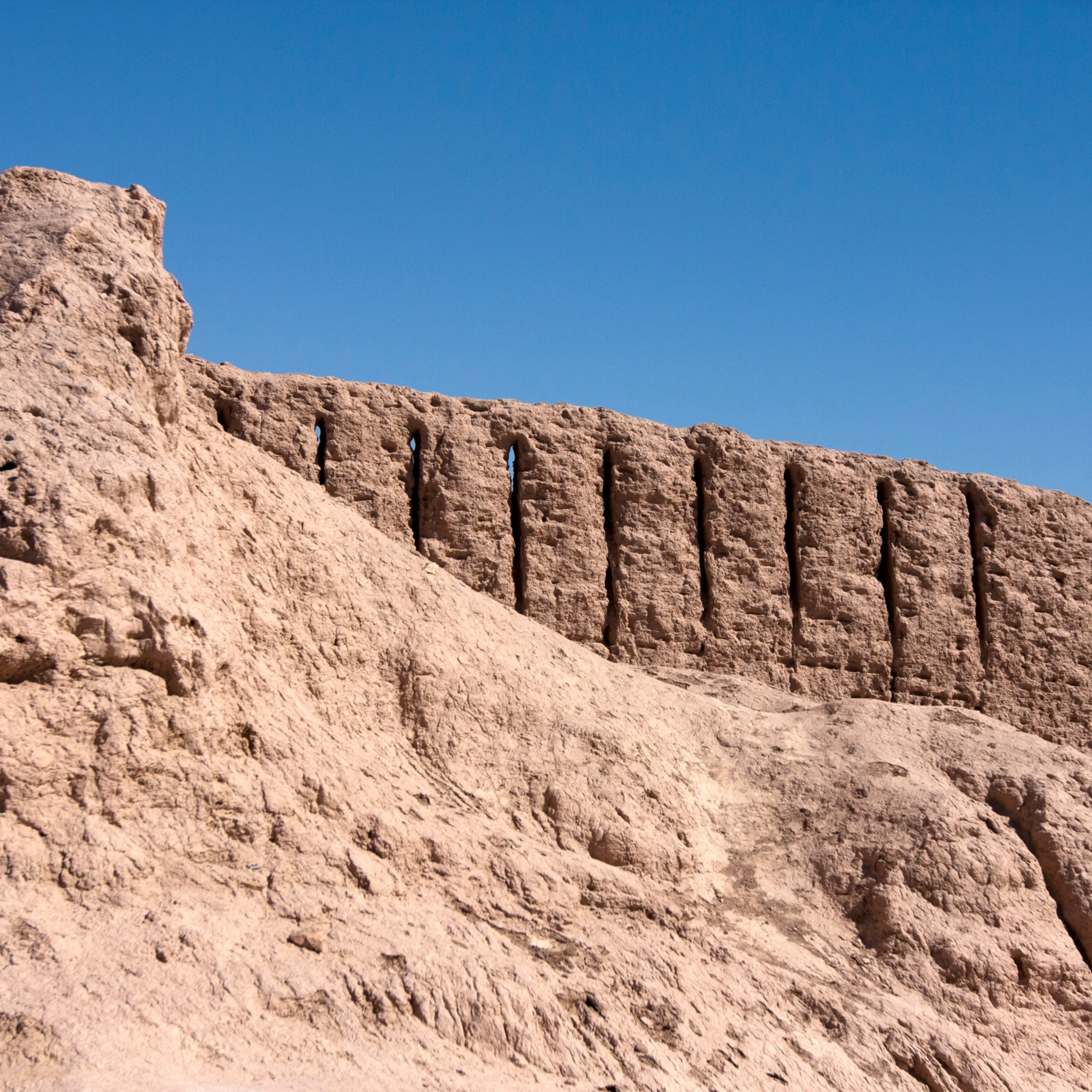 Embark on an Unforgettable Archaeological Journey